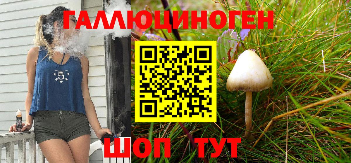 Псилоцибиновые грибы Cubensis  Вход с VPN  Туапсе 
